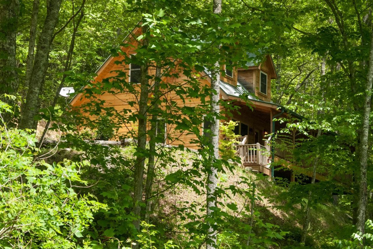Cherokee Mountain Cabins, Llc Topton Exterior photo